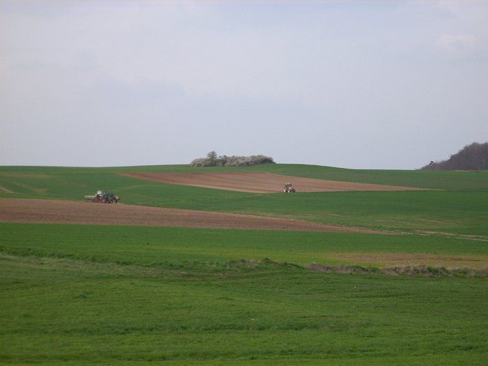 DSCI0011.JPG